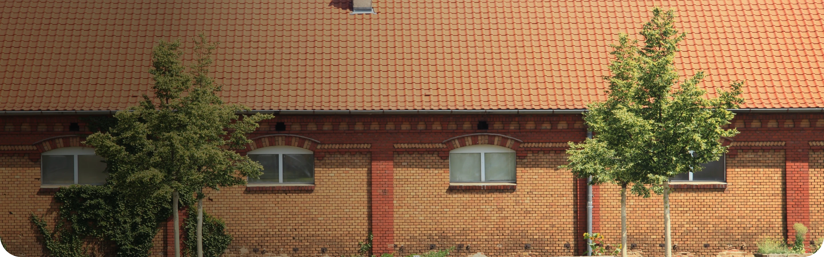 Toiture recouverte de mousse à gauche et propre à droite