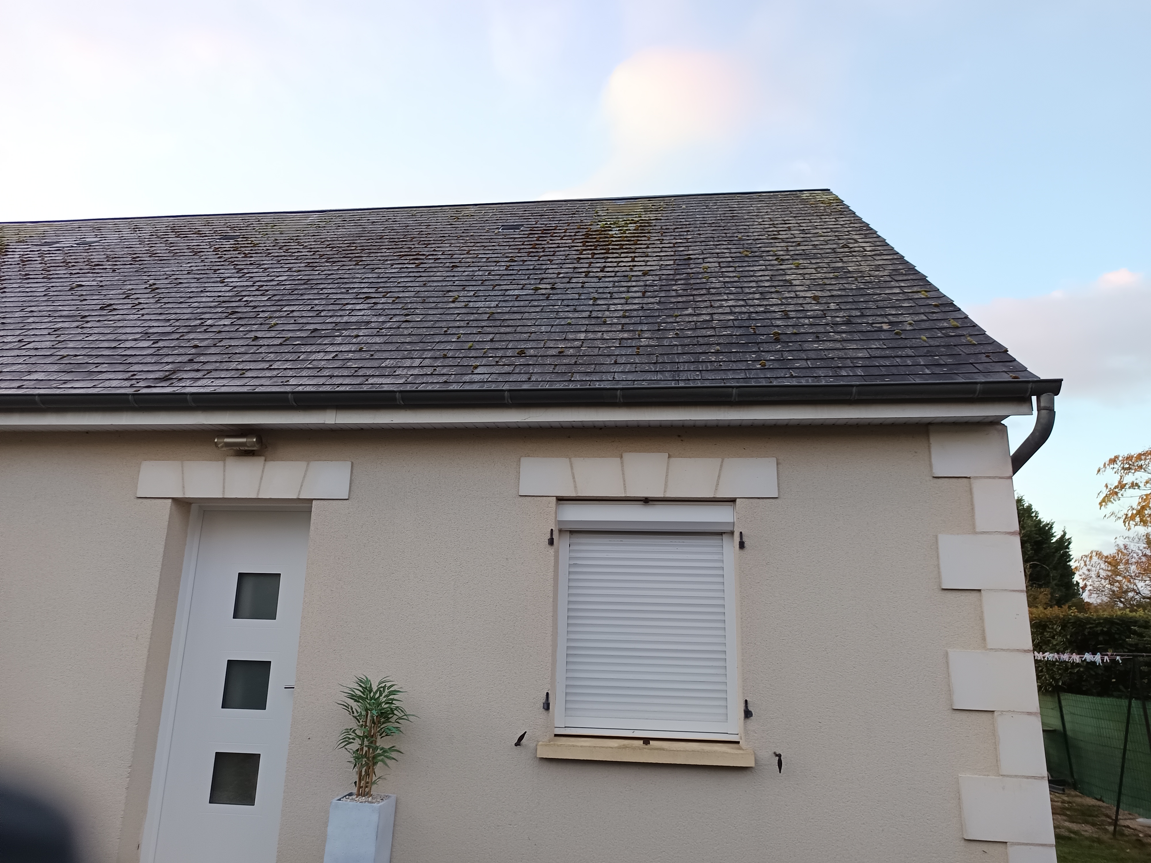 Démoussage toiture Joué-lès-tours